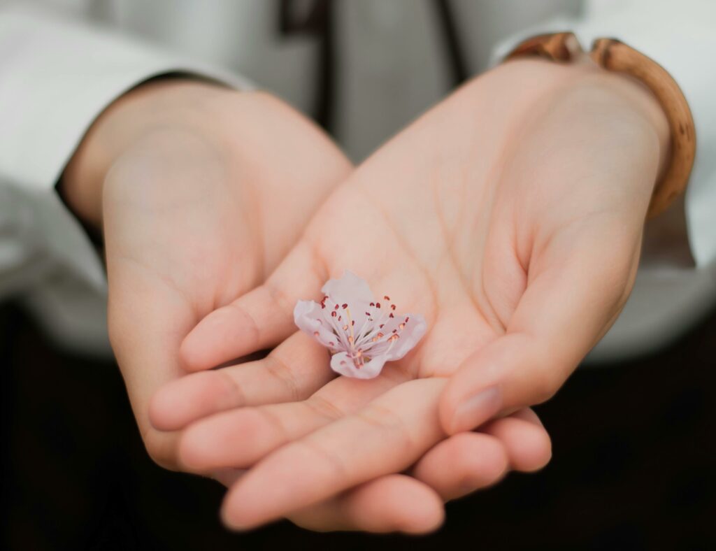 img-07-free-img.jpg Close-up of hands gently holding a delicate pink flower symbolizing care and nature.