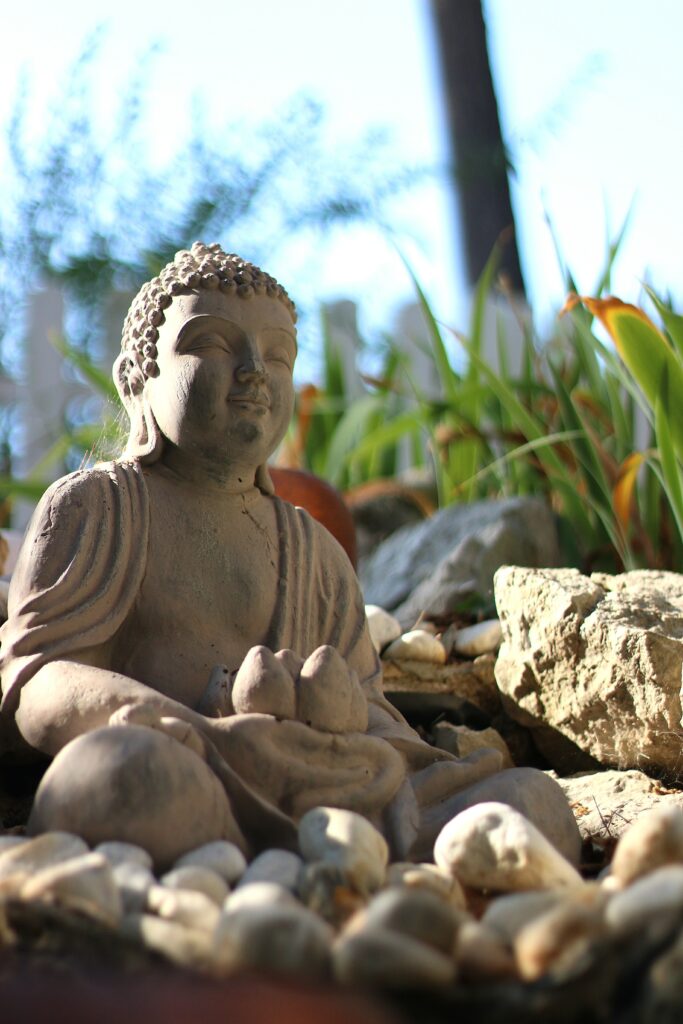 Les Chakras : Comprendre et Harmoniser img 6101bis